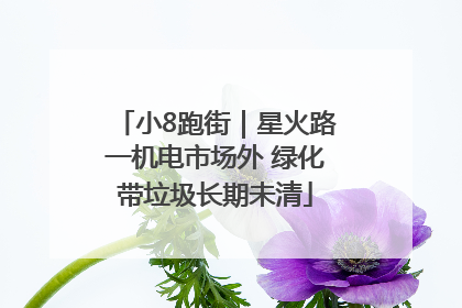 小8跑街｜星火路一机电市场外 绿化带垃圾长期未清